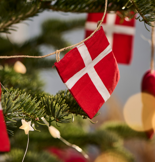 Weihnachtsgeschenke 2024 rechtzeitig bestellen 🎄
